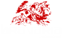 Bravaria Labs Ltd - The King of Premium Brands - Roid's Highest Quality